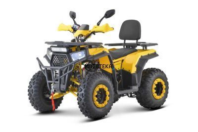 Квадроцикл FXMOTO (ФХМото) WASP 200 LUX жёлтый (машинокомплект)