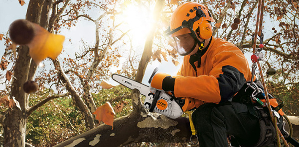 Бензопила STIHL (Штиль) MS 150 TC - E Шина 25 см | Мототека